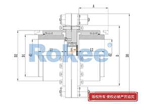 RODM Drum Gear Coupling