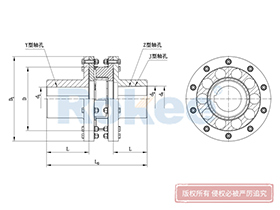 LMS/MLS Plum-shaped Flexible Coupling