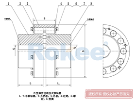 LZ/ZL Pin Gear Coupling